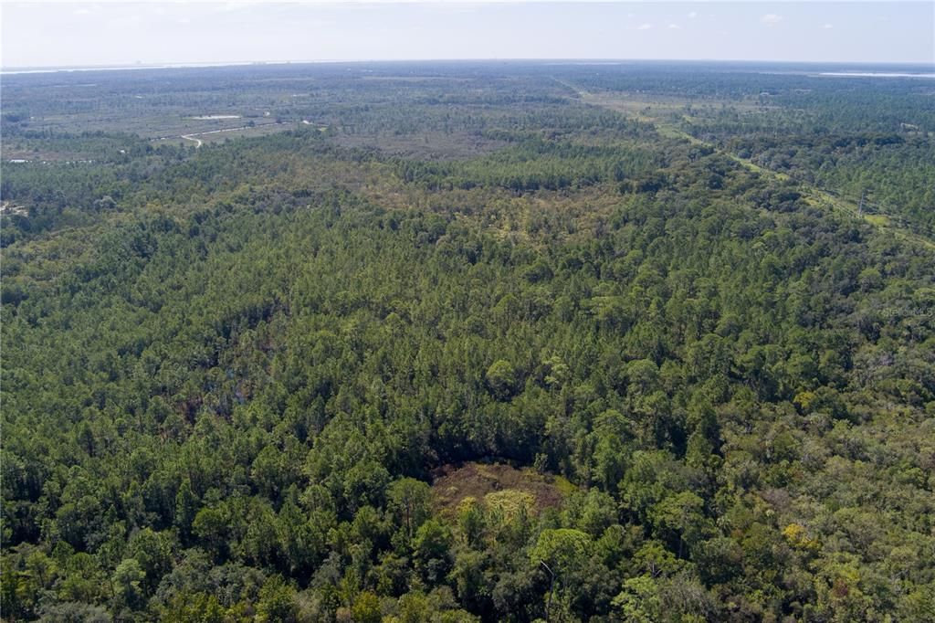 For Sale: $8,000 (2.39 acres)