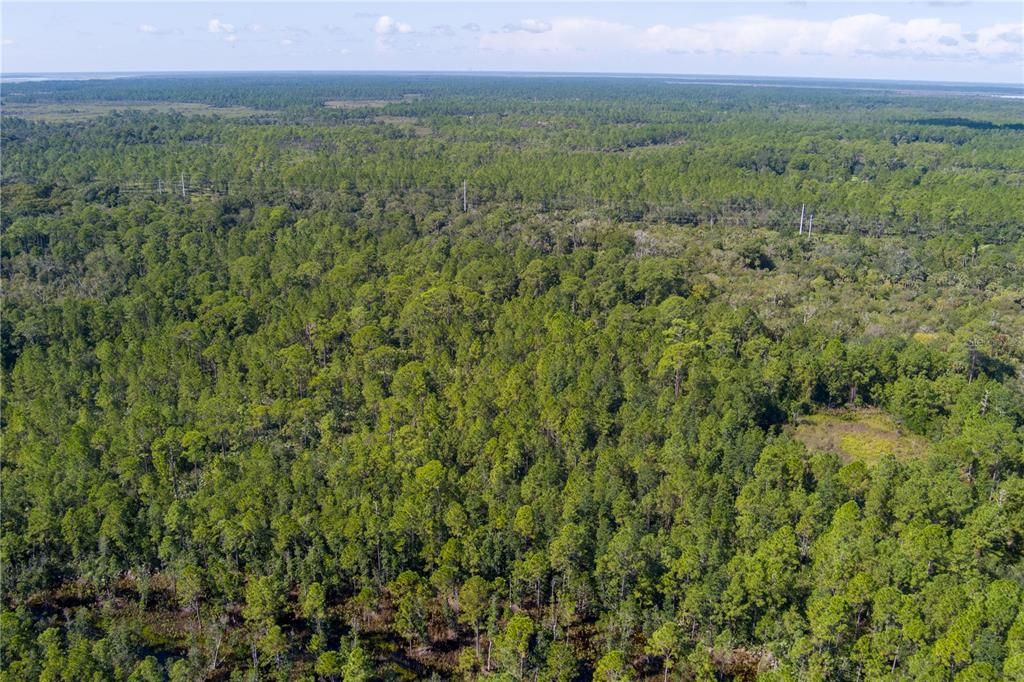 For Sale: $8,000 (2.39 acres)