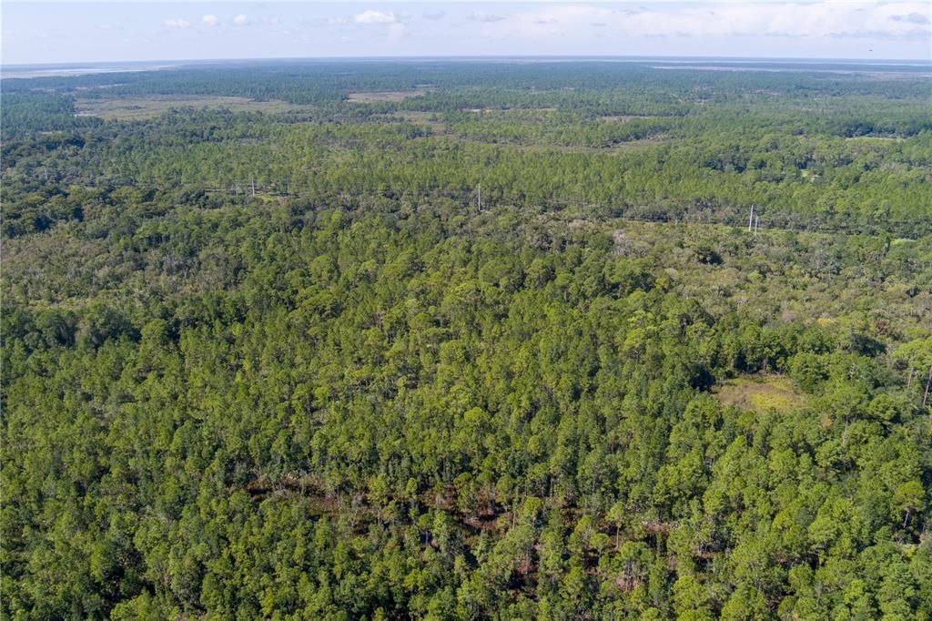 For Sale: $8,000 (2.39 acres)