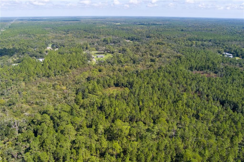 For Sale: $8,000 (2.39 acres)