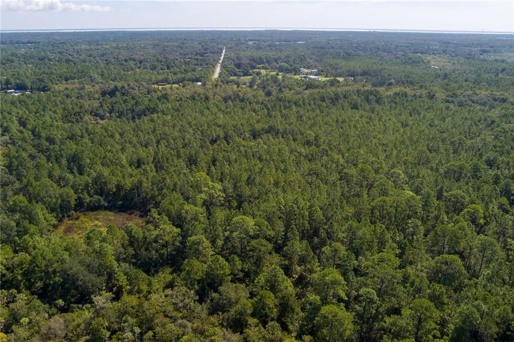 For Sale: $8,000 (2.39 acres)