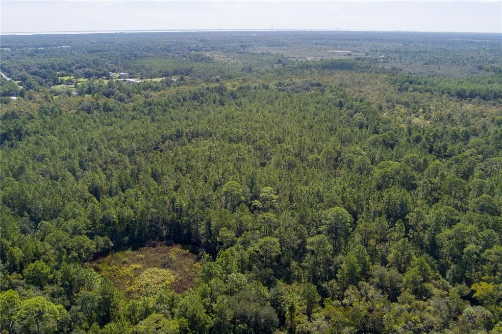 For Sale: $8,000 (2.39 acres)