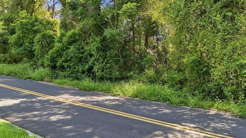 For Sale: $19,900 (0.22 acres)