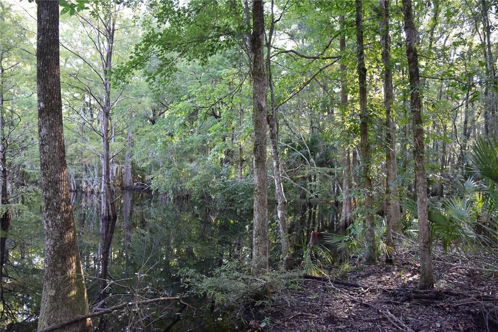 For Sale: $125,000 (16.00 acres)