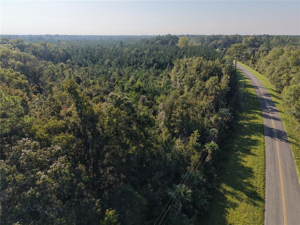 For Sale: $125,000 (16.00 acres)