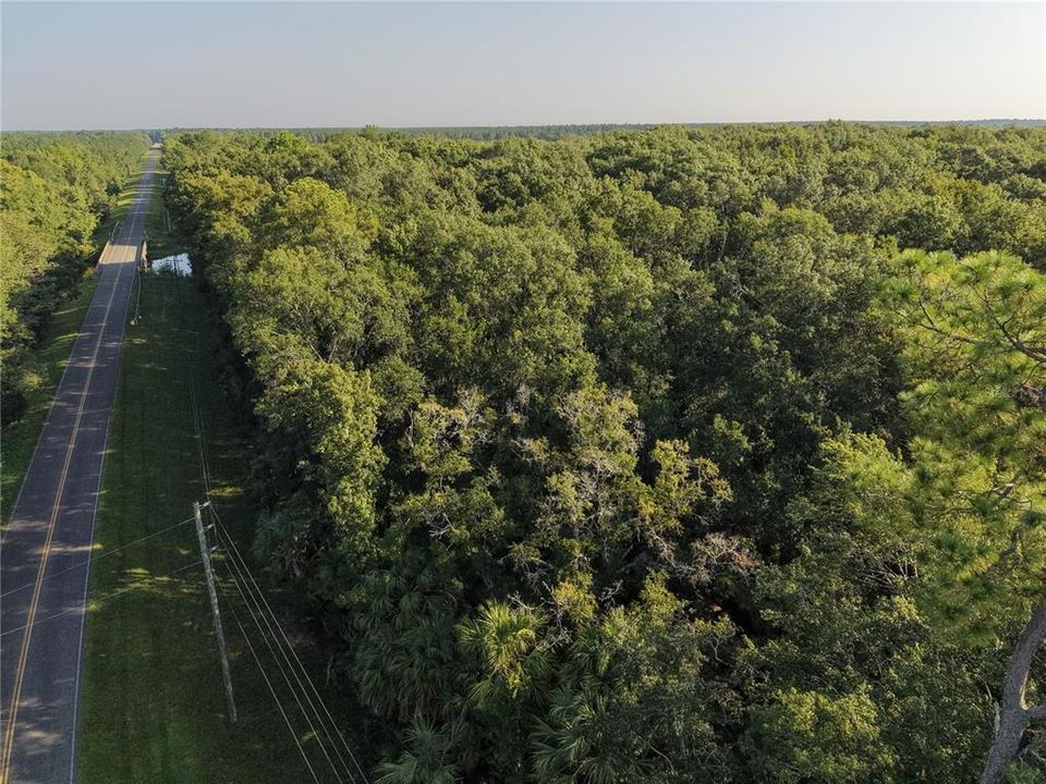 For Sale: $125,000 (16.00 acres)