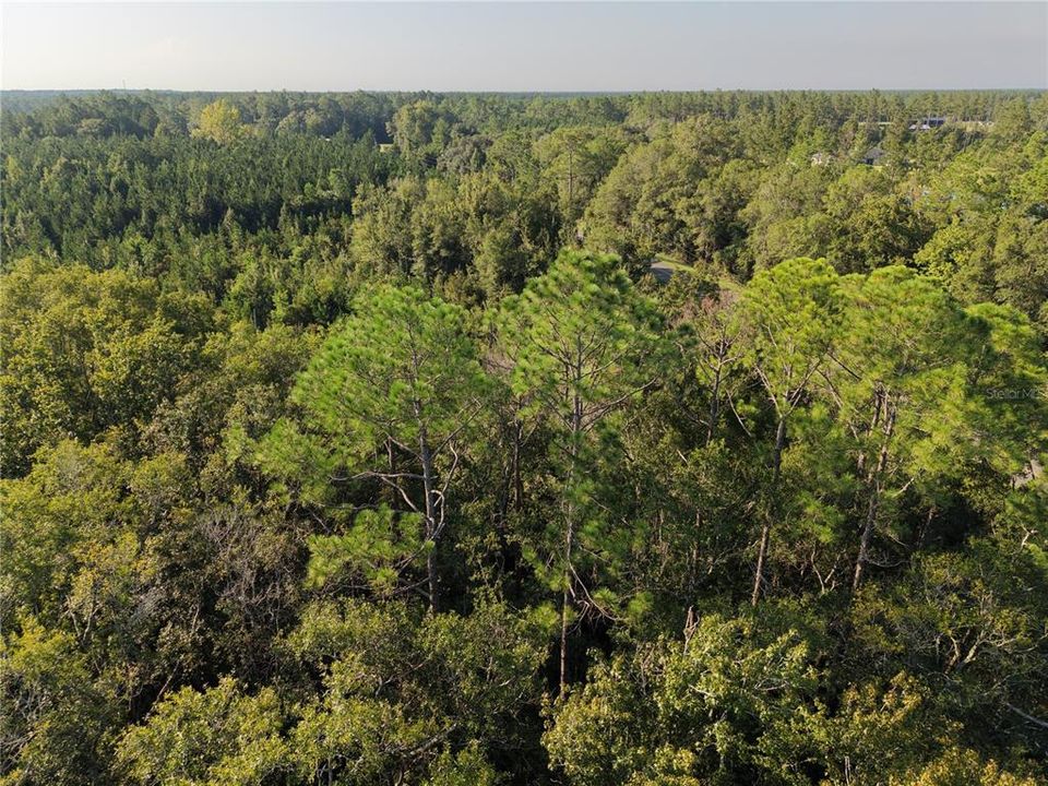 For Sale: $125,000 (16.00 acres)