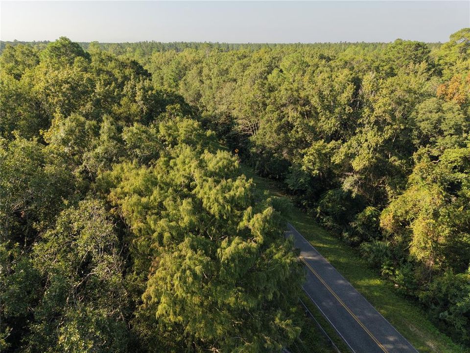 For Sale: $125,000 (16.00 acres)