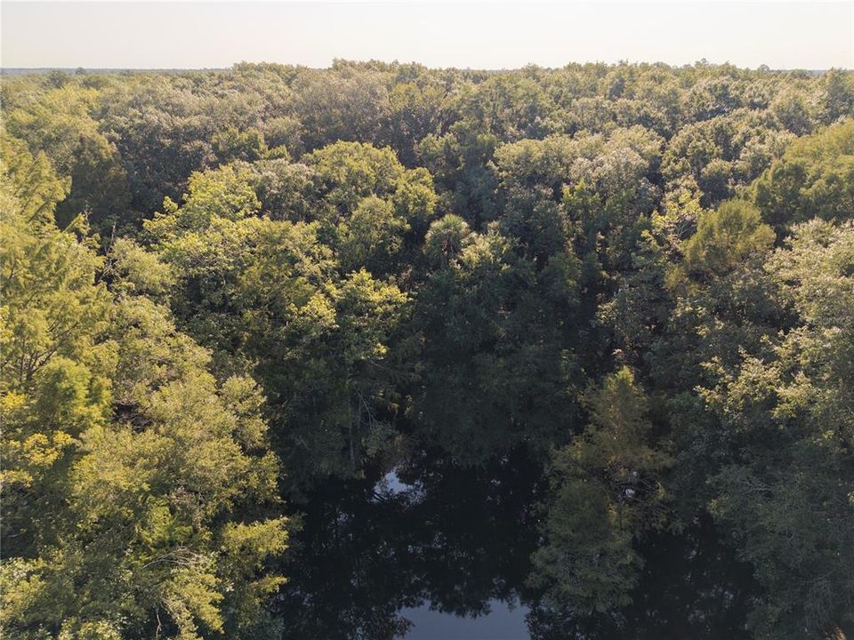 For Sale: $125,000 (16.00 acres)