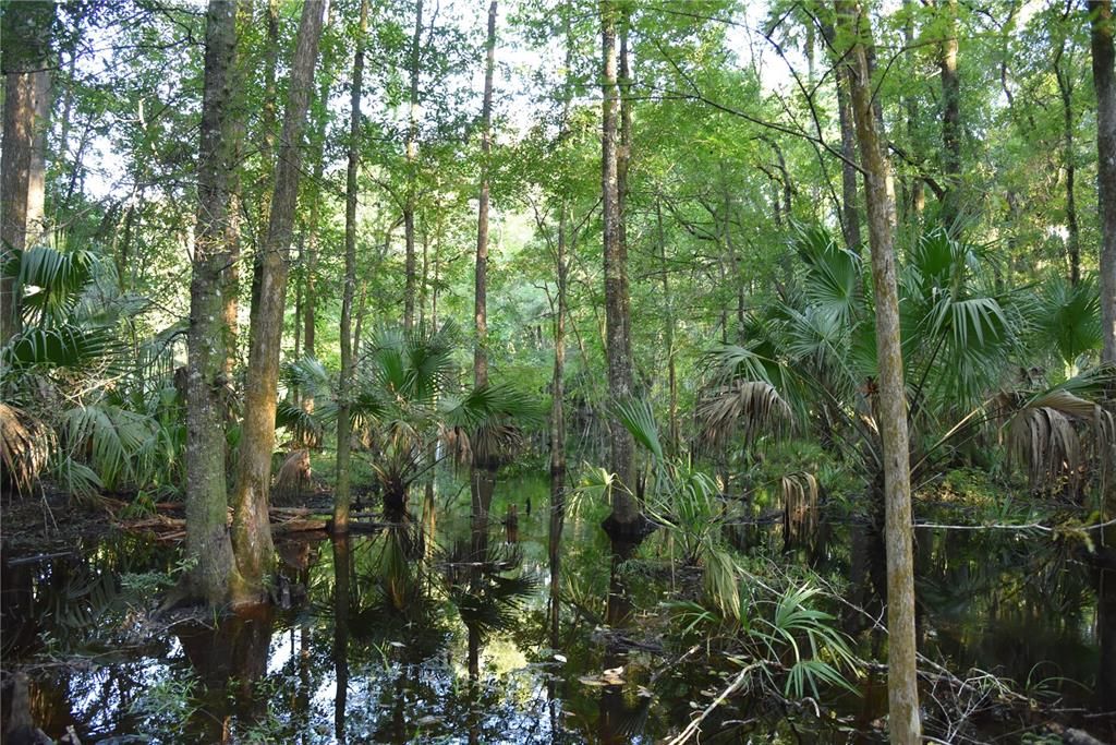 For Sale: $125,000 (16.00 acres)