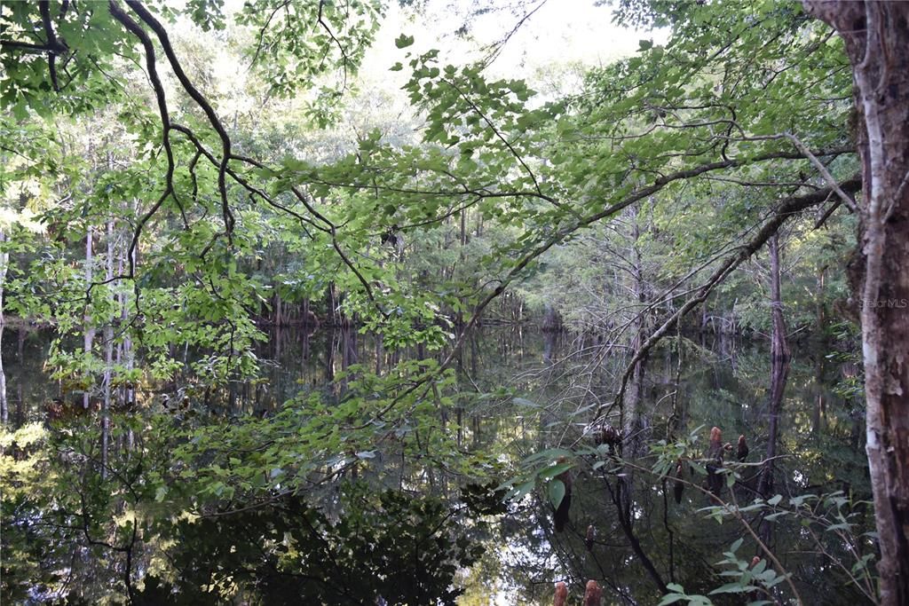 For Sale: $125,000 (16.00 acres)