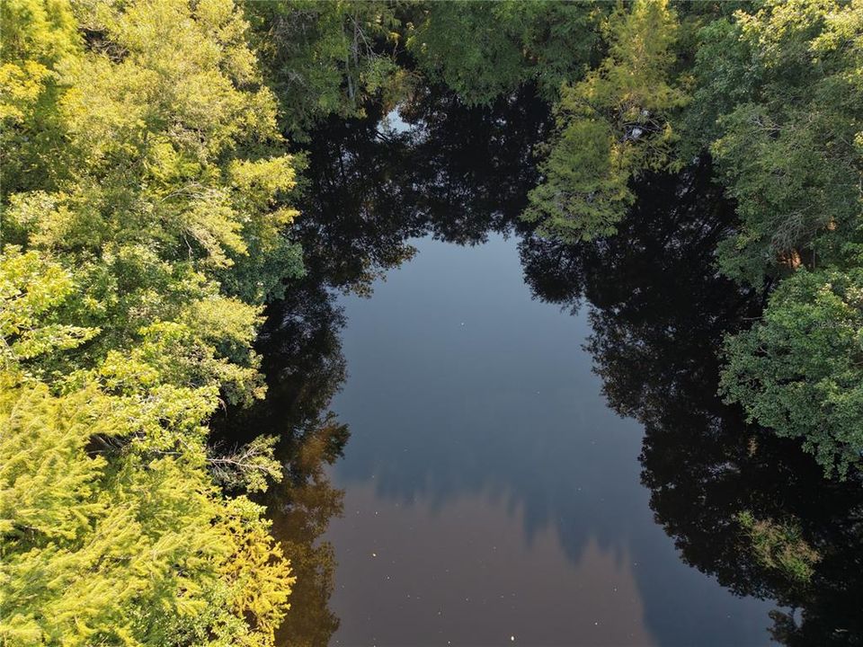 For Sale: $125,000 (16.00 acres)
