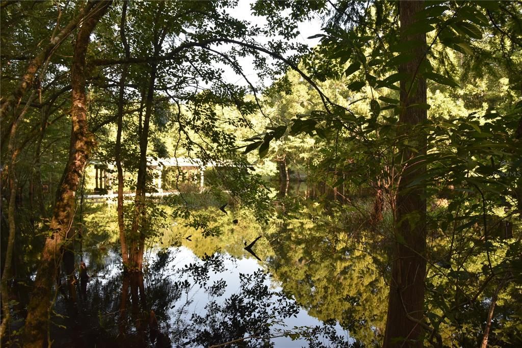 For Sale: $125,000 (16.00 acres)
