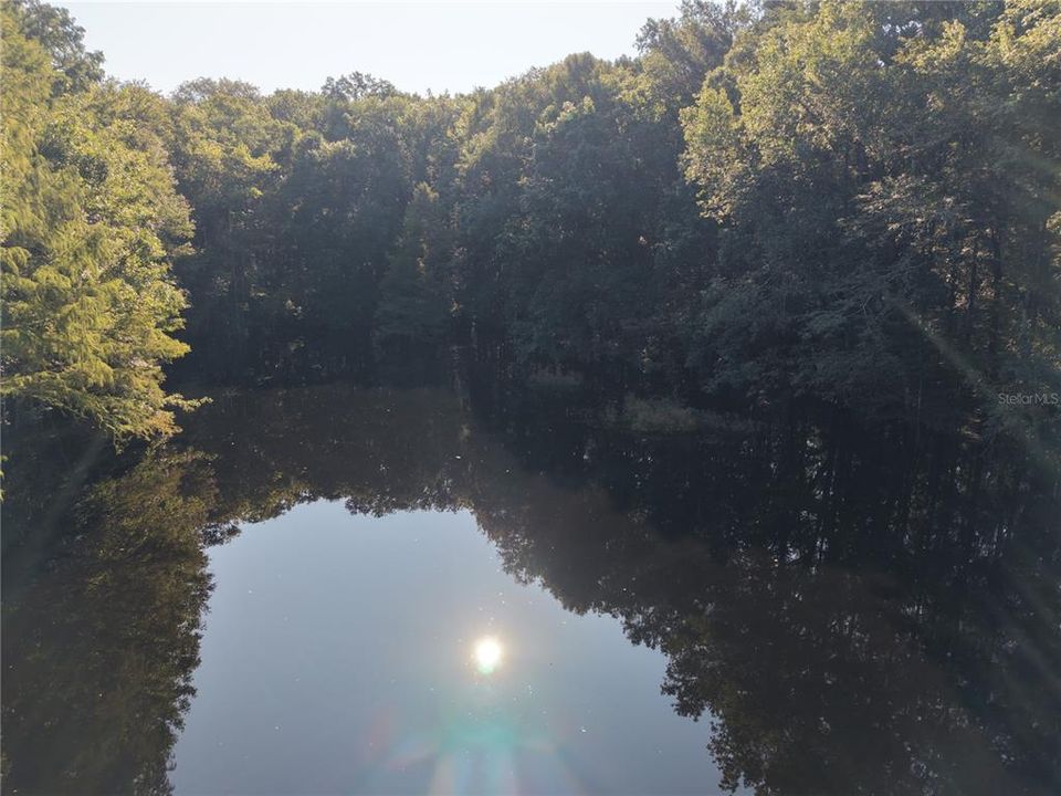 For Sale: $125,000 (16.00 acres)