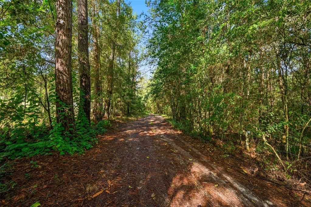 En Venta: $124,500 (6.00 acres)
