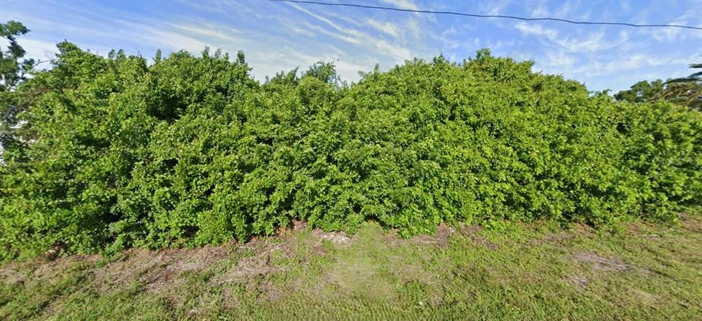 待售: $30,000 (0.27 acres)