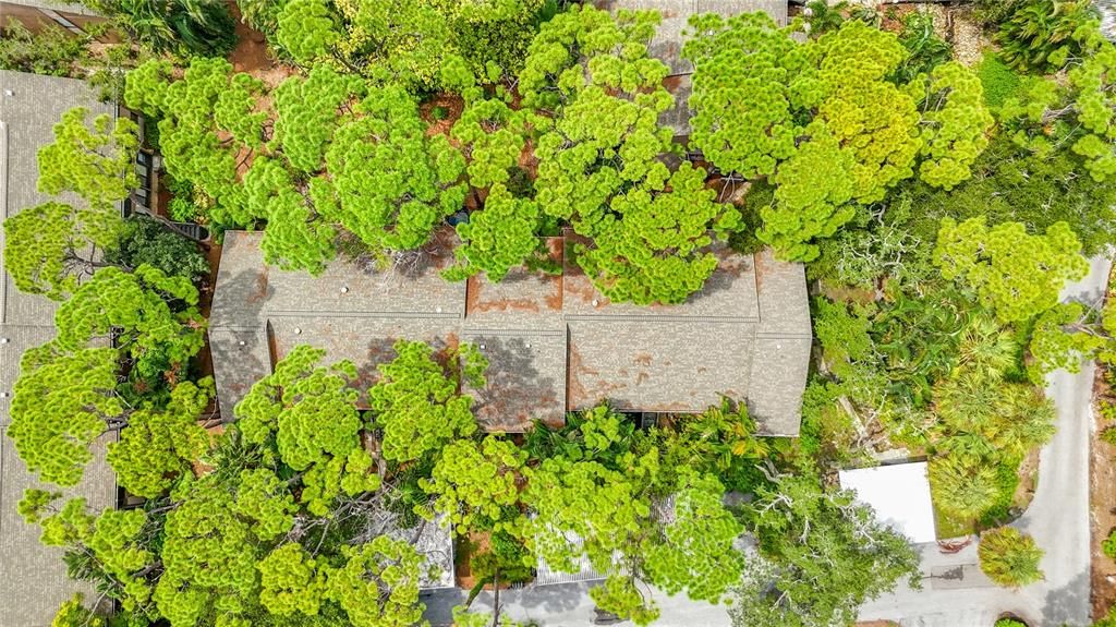 En Venta: $329,000 (2 camas, 2 baños, 1112 Pies cuadrados)