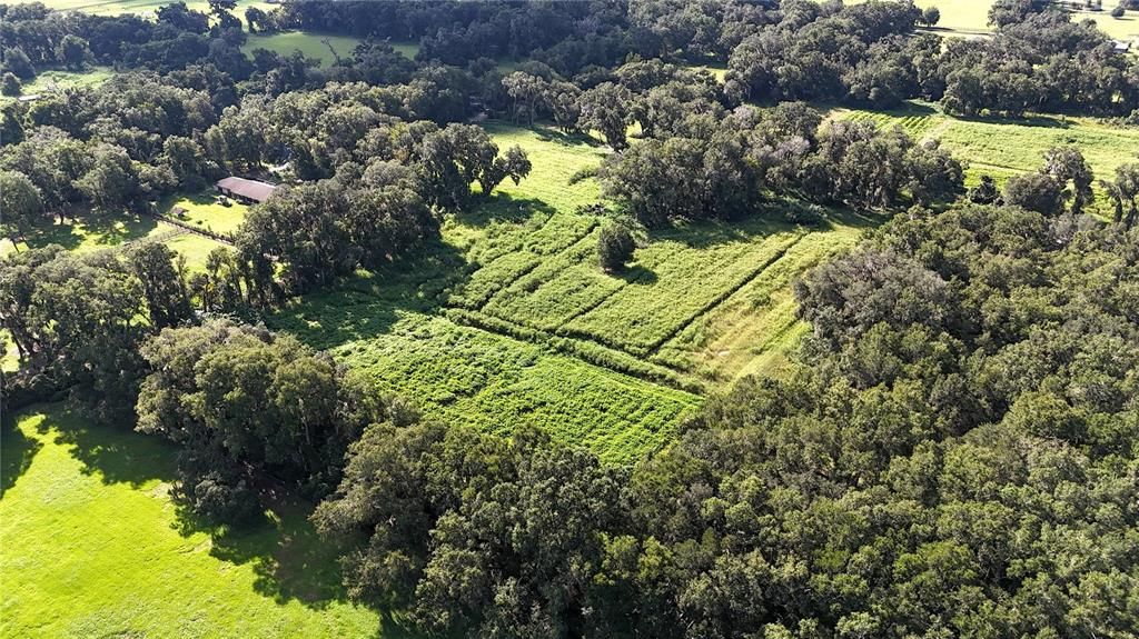 На продажу: $300,000 (10.00 acres)