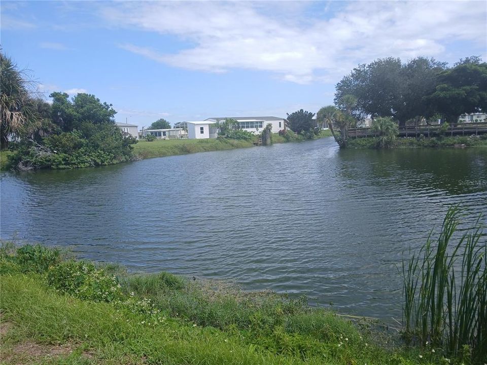 For Sale: $20,000 (0.17 acres)