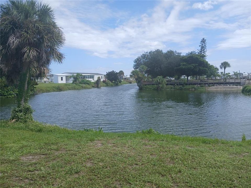 For Sale: $20,000 (0.17 acres)