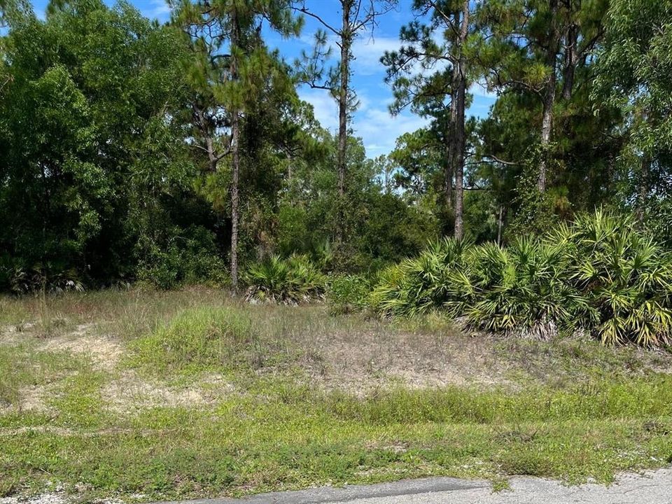 For Sale: $35,000 (0.50 acres)