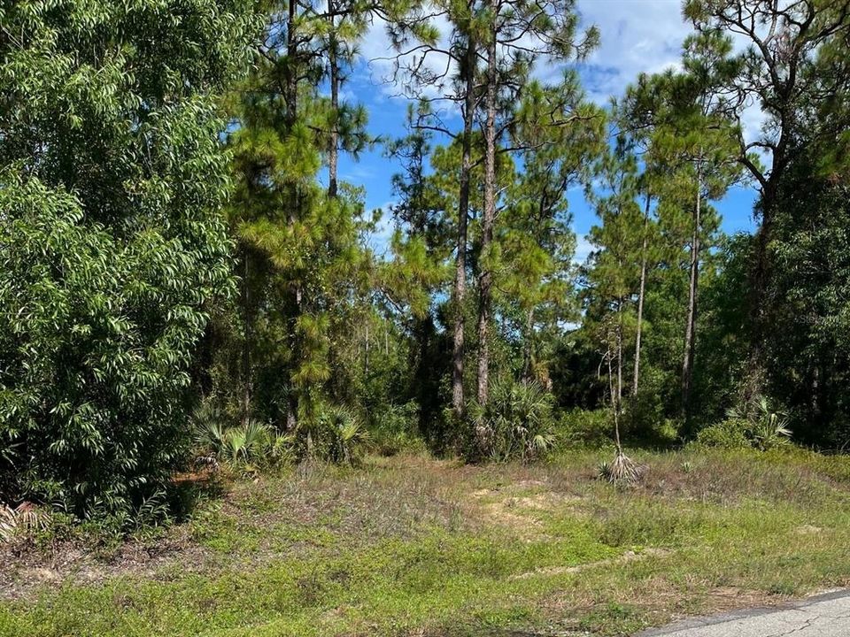 For Sale: $35,000 (0.50 acres)