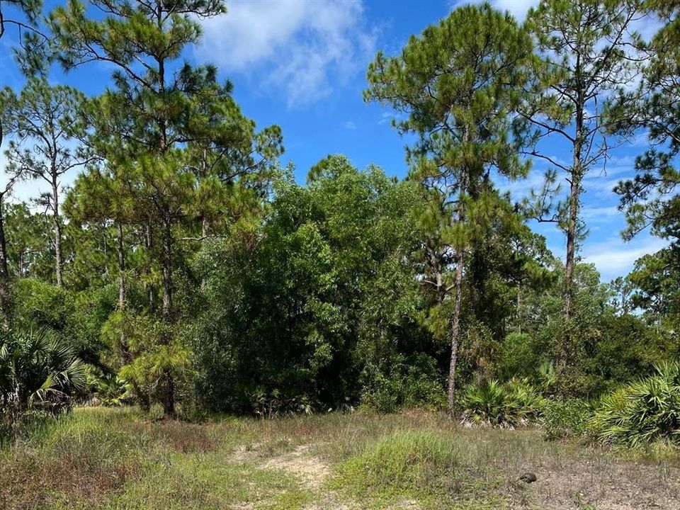 For Sale: $35,000 (0.50 acres)
