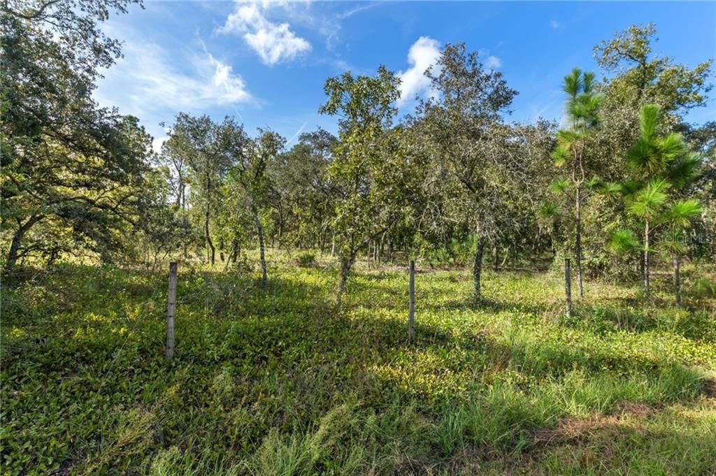 For Sale: $169,000 (5.17 acres)