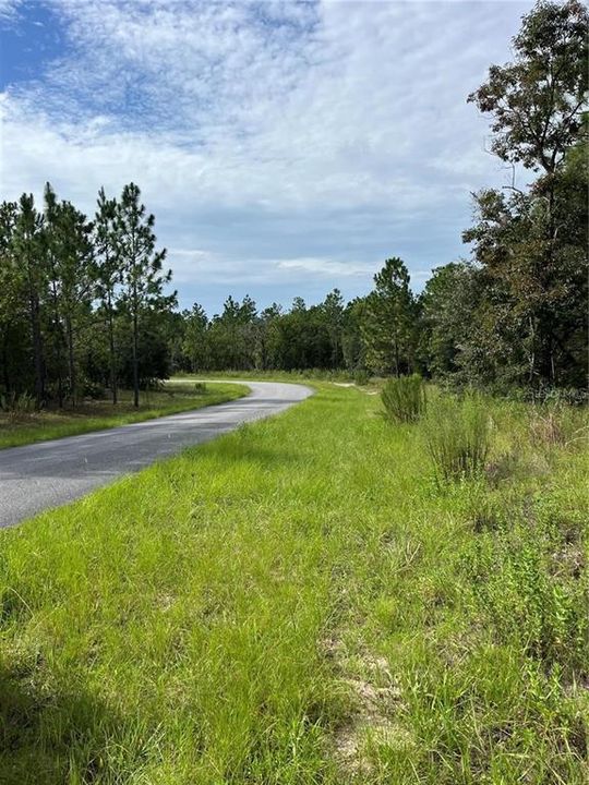 For Sale: $27,000 (0.38 acres)
