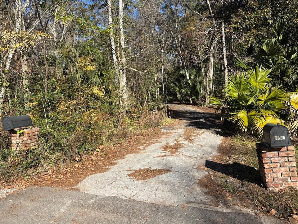 For Sale: $332,000 (4.24 acres)