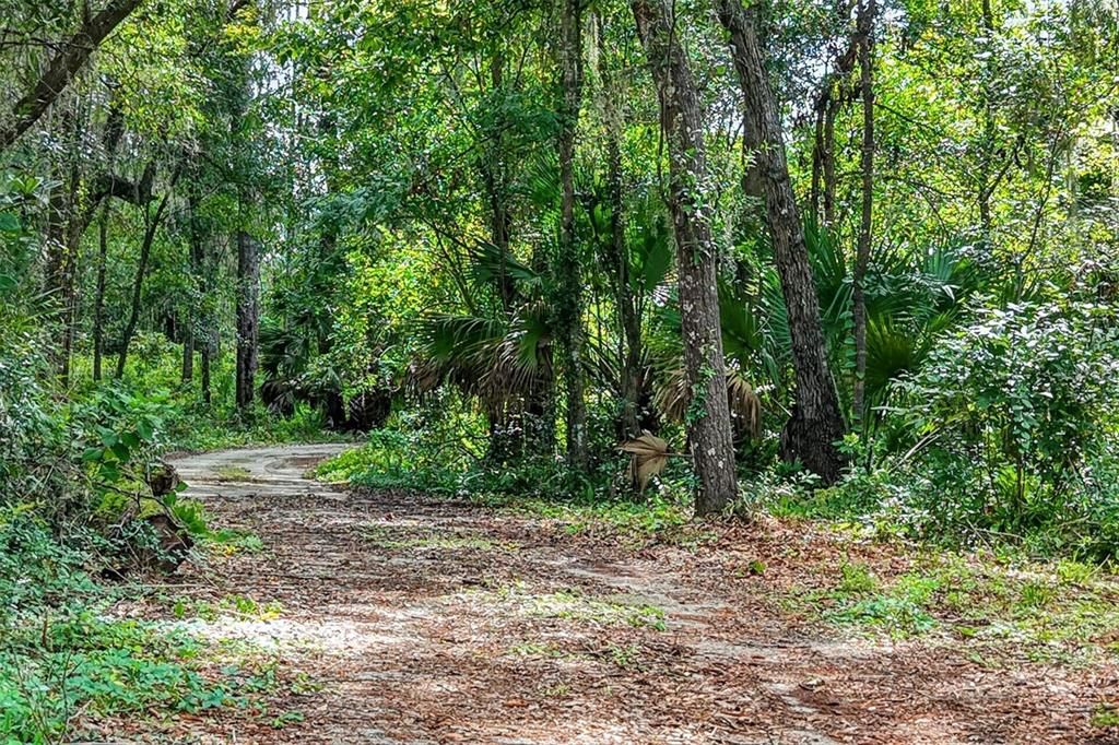 For Sale: $332,000 (4.24 acres)