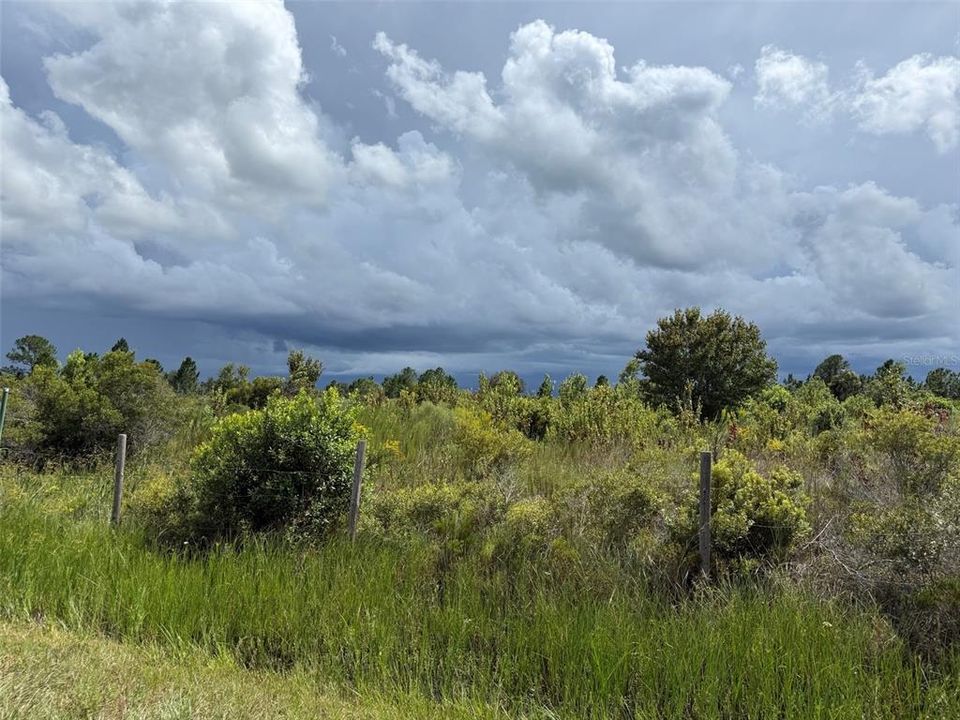 На продажу: $25,999 (1.25 acres)