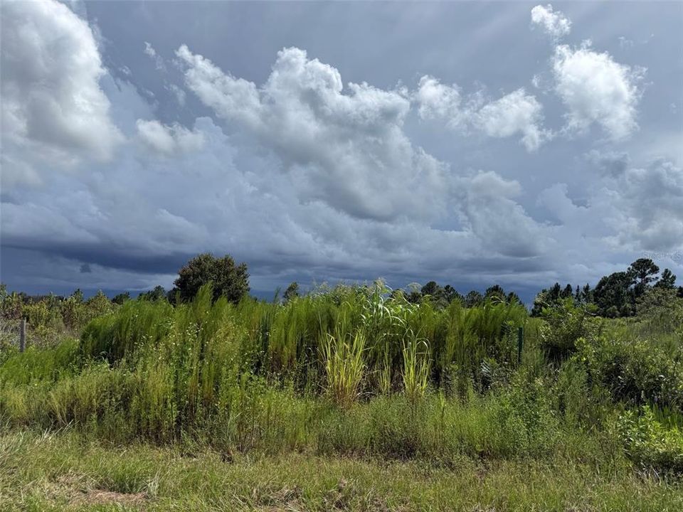 На продажу: $25,999 (1.25 acres)