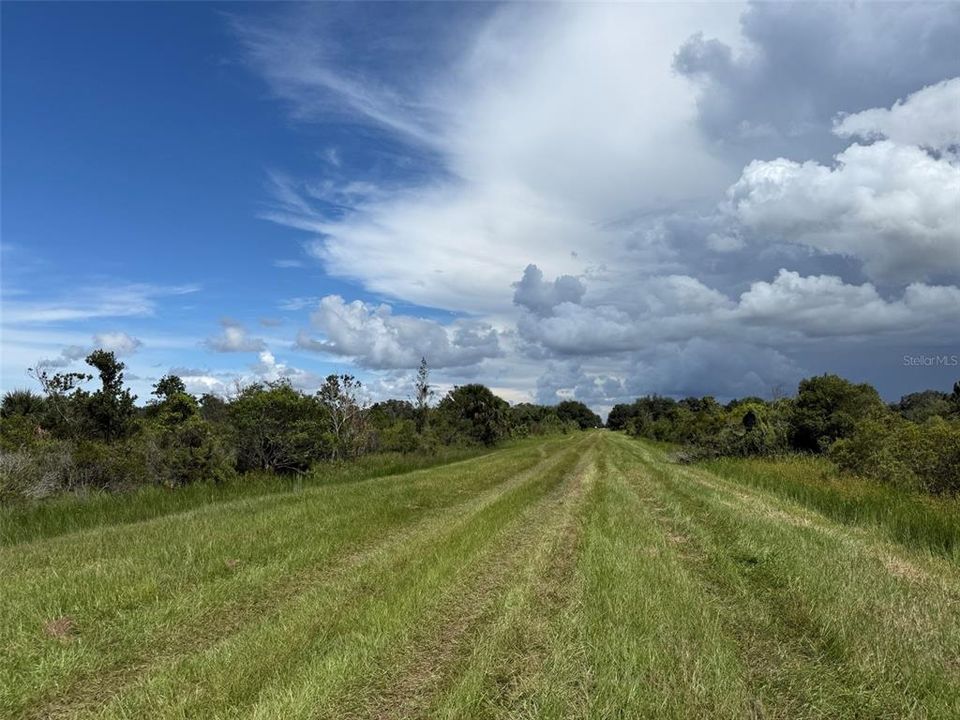 На продажу: $25,999 (1.25 acres)