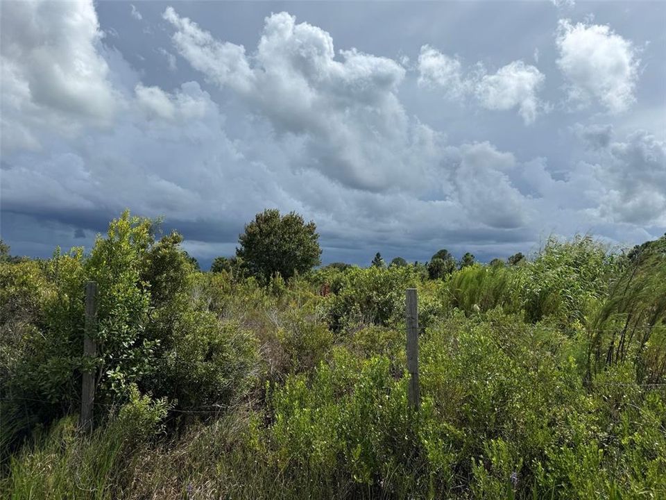 На продажу: $25,999 (1.25 acres)