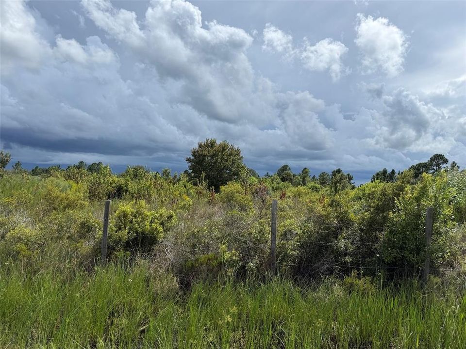 На продажу: $25,999 (1.25 acres)