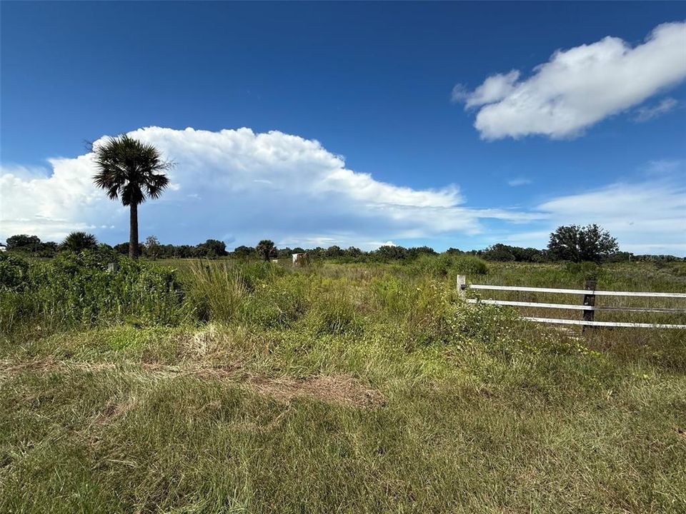 На продажу: $29,999 (1.25 acres)