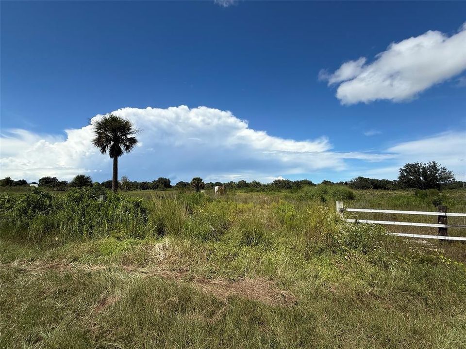 На продажу: $29,999 (1.25 acres)