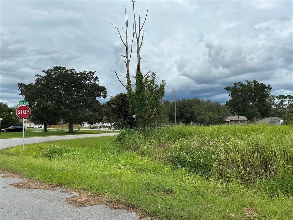 For Sale: $39,000 (0.30 acres)