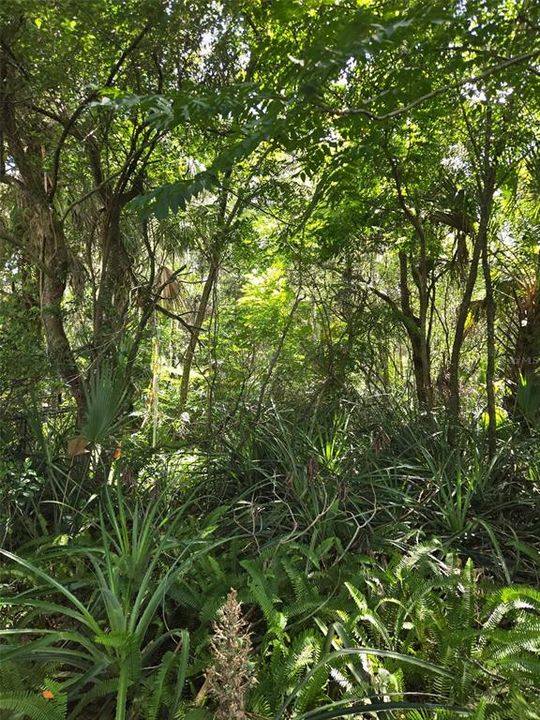 На продажу: $235,000 (2.30 acres)