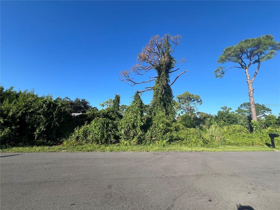 En Venta: $63,000 (0.18 acres)