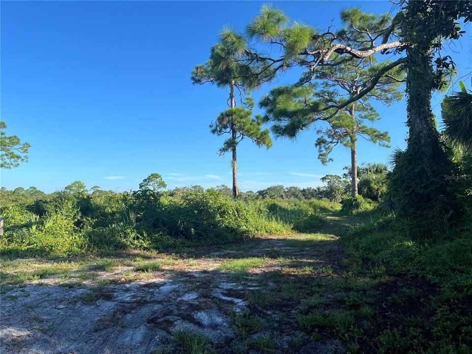 En Venta: $63,000 (0.18 acres)