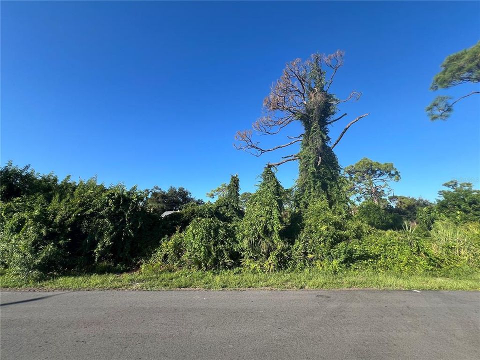 En Venta: $63,000 (0.18 acres)