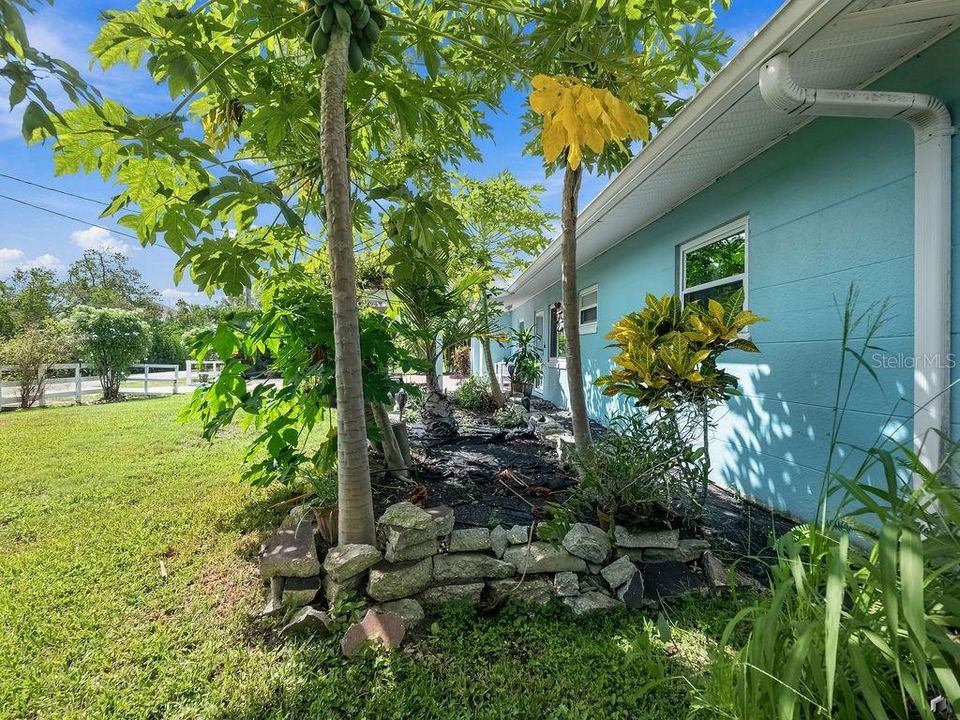 For Sale: $659,000 (3 beds, 2 baths, 1669 Square Feet)