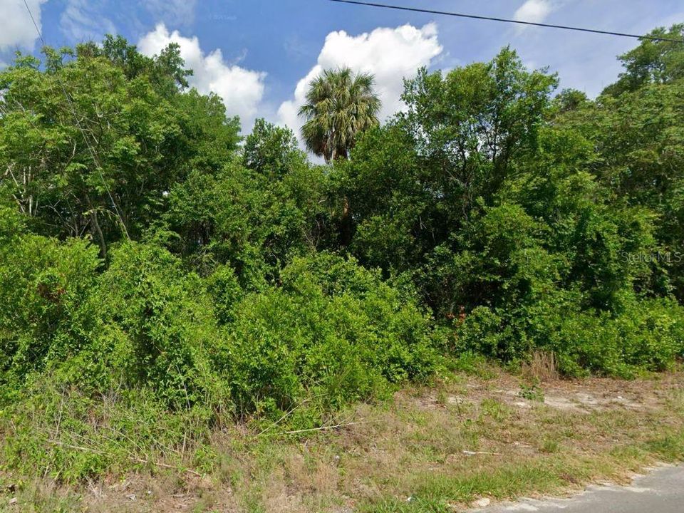 待售: $40,000 (0.50 acres)