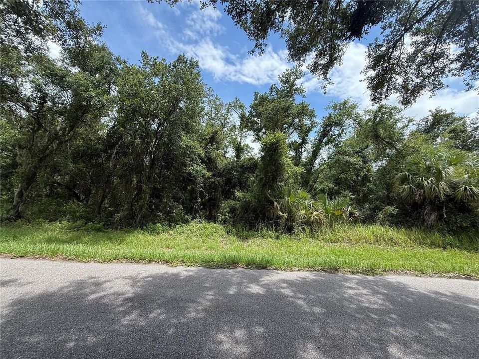 待售: $15,500 (0.23 acres)