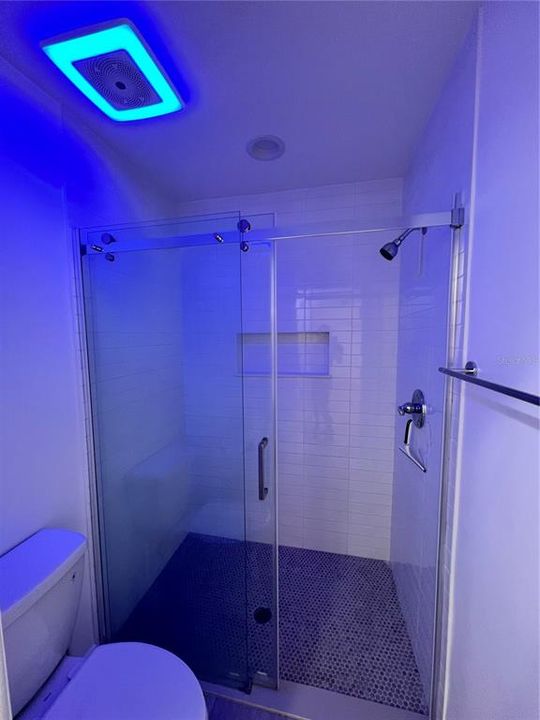 В аренду: $2,500 (2 спален, 2 ванн, 1100 Квадратных фут)