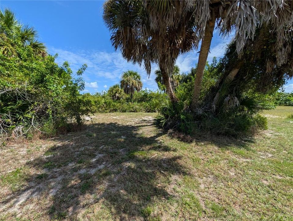 En Venta: $22,500 (0.17 acres)