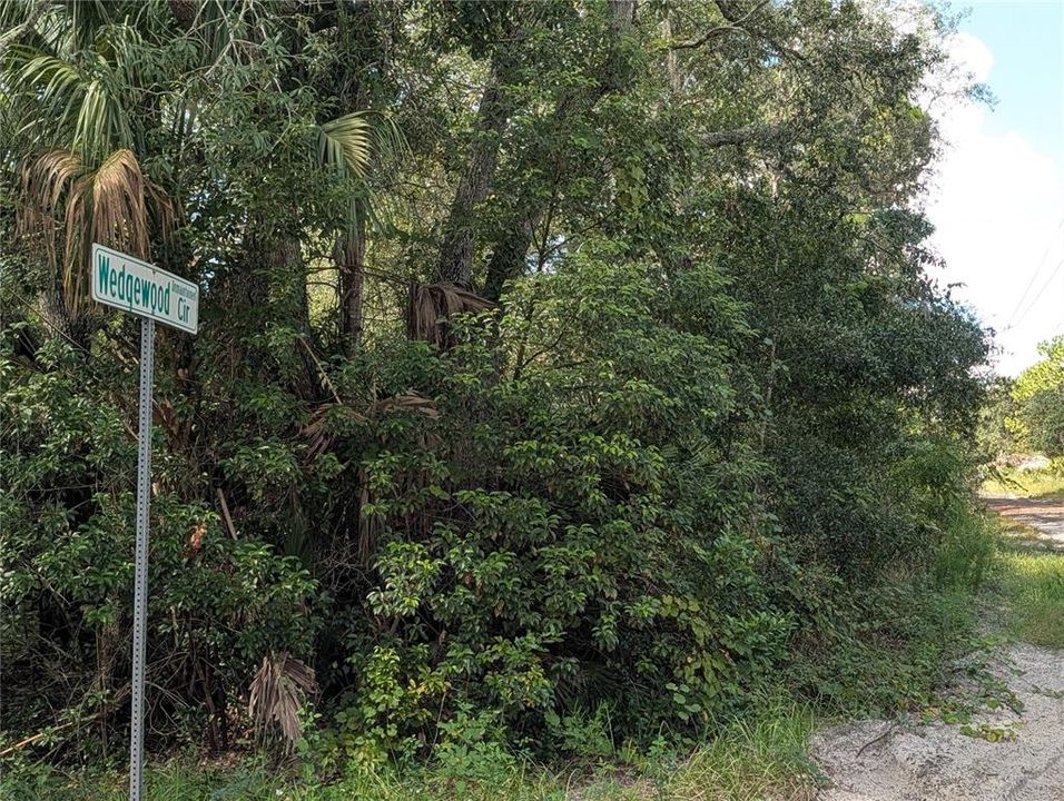 En Venta: $60,000 (0.58 acres)