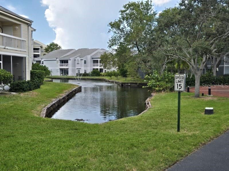 For Rent: $2,100 (2 beds, 1 baths, 740 Square Feet)